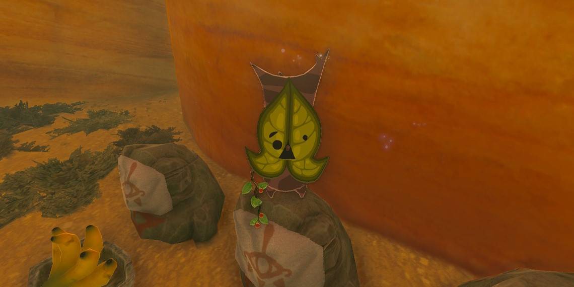 Korok hiding in the Gerudo Highlands