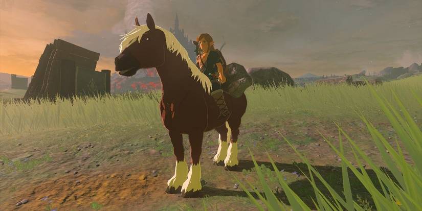 zelda-tears-of-the-kingdom-epona