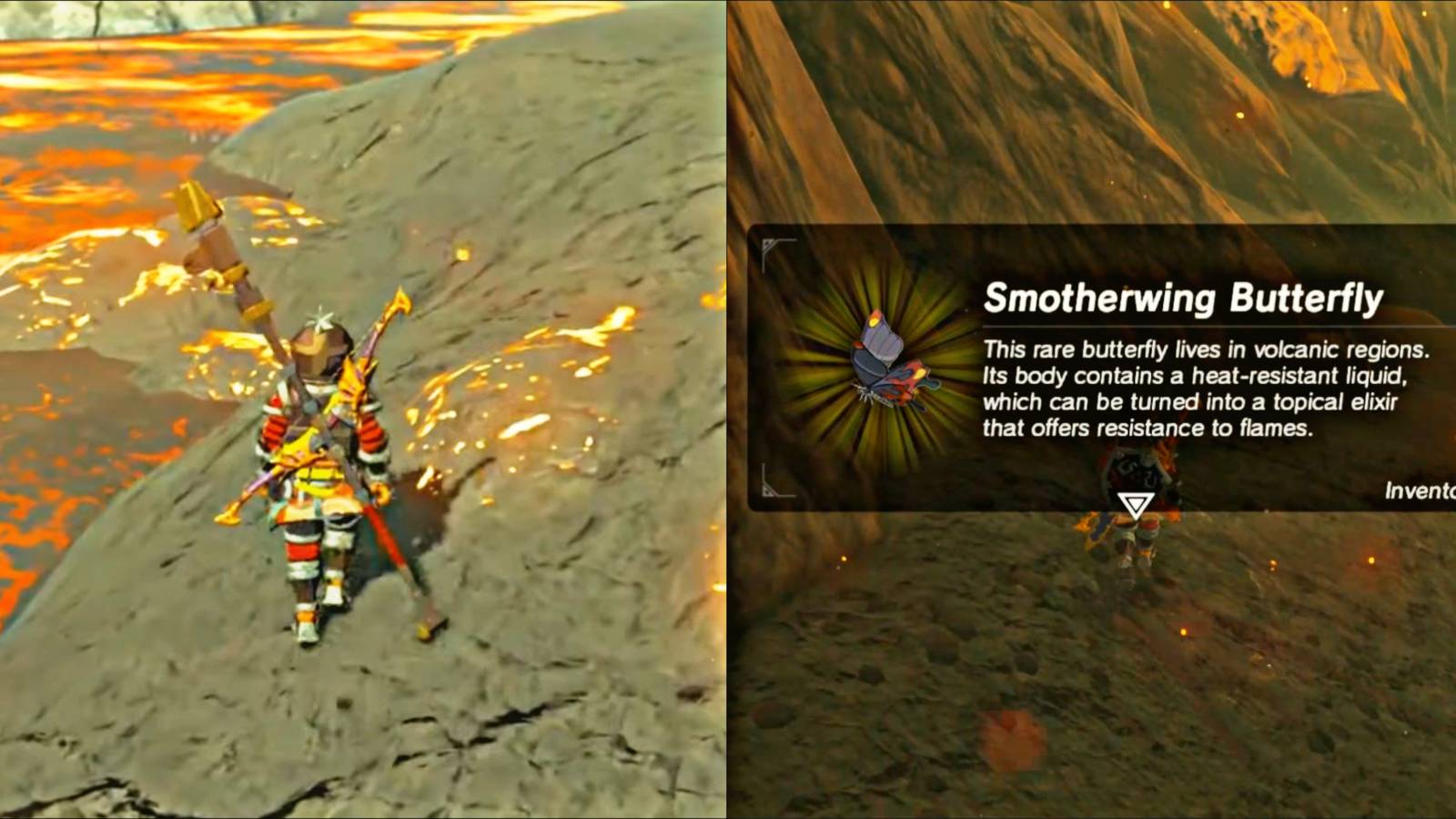 Zelda Tears Of The Kingdom Find Smotherwing Butterflies