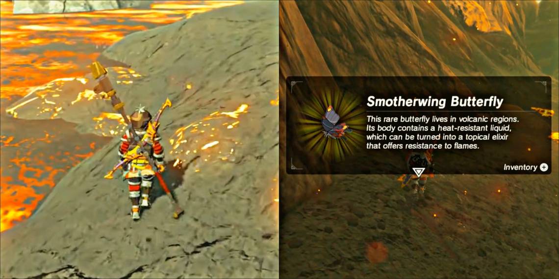 Zelda: Tears of the Kingdom - Dónde encontrar y recolectar mariposas Smotherwing