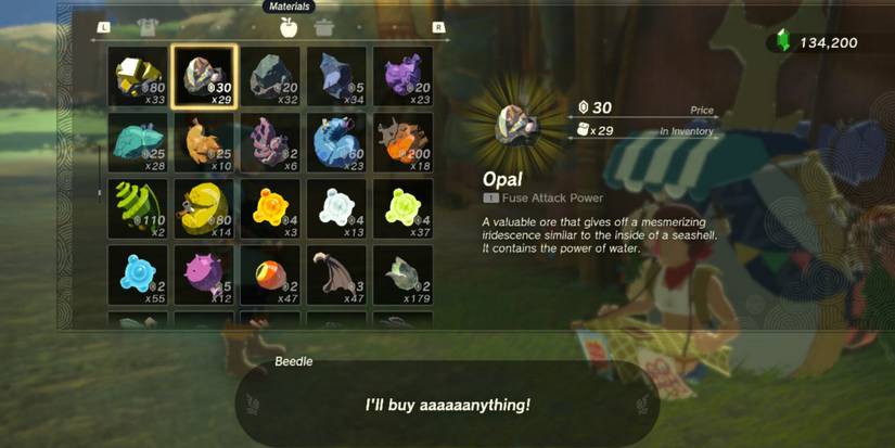 Zelda_ Tears of the Kingdom - How to Get Opals and What to do With Them merchant