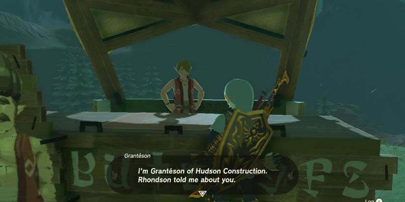 Zelda_ Tears of the Kingdom - How To Store Weapons granteson