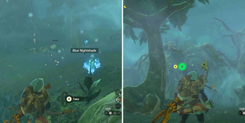 Zelda_ Tears of the Kingdom - Sakunbomar Shrine 3