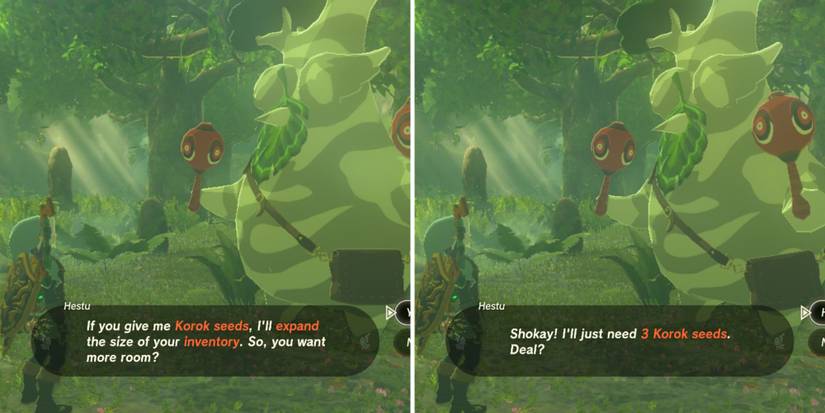 Zelda_ Tears of the Kingdom - What to Do With Korok Seeds expanding inventory