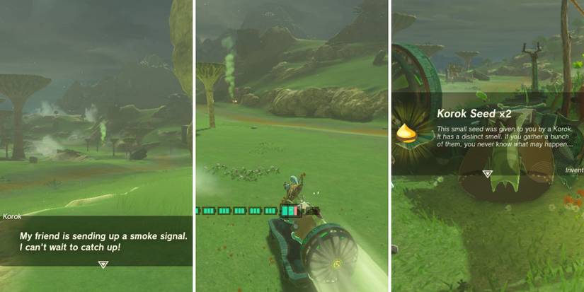 Zelda_ Tears of the Kingdom - What to Do With Korok Seeds getting seed