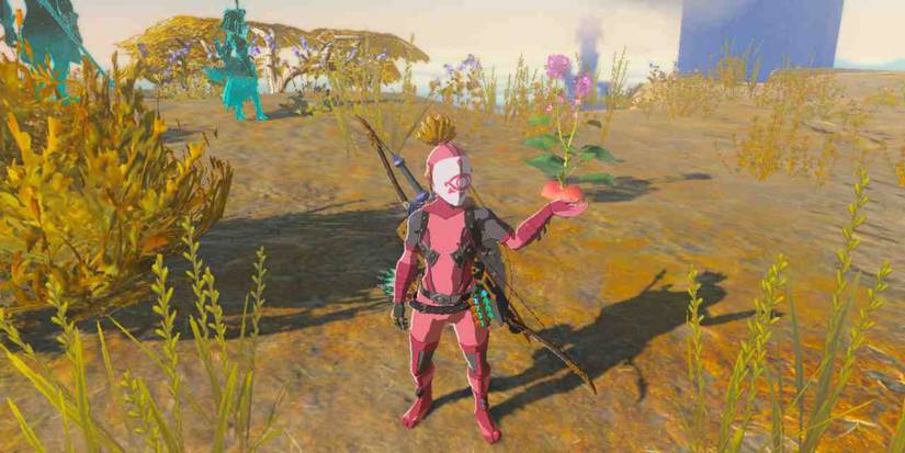 Zelda_ Tears of the Kingdom - Where To Find Hearty Radish big