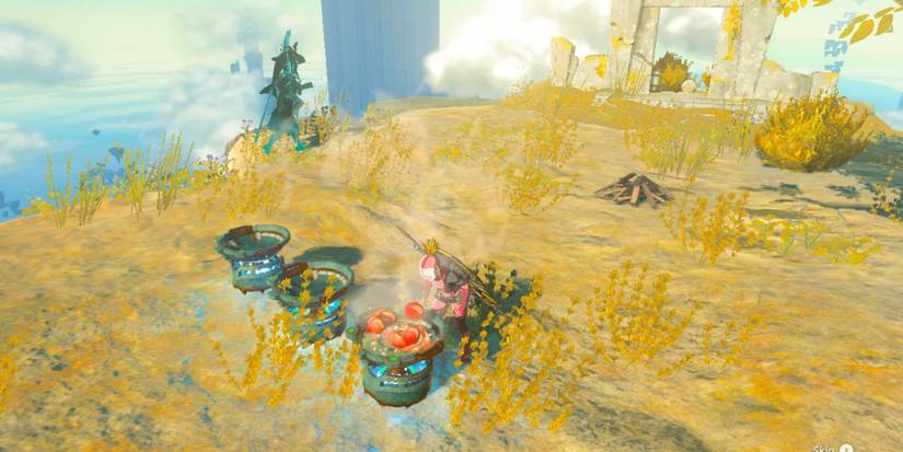 Zelda_ Tears of the Kingdom - Where To Find Hearty Radish cooking