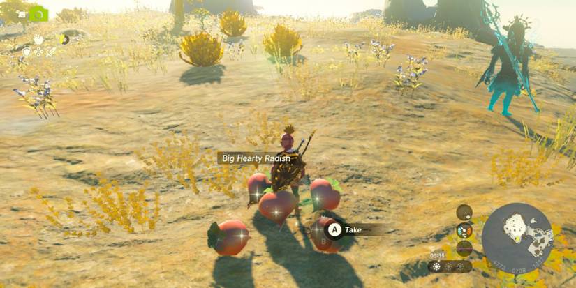 Zelda_ Tears of the Kingdom - Where To Find Hearty Radish duplication