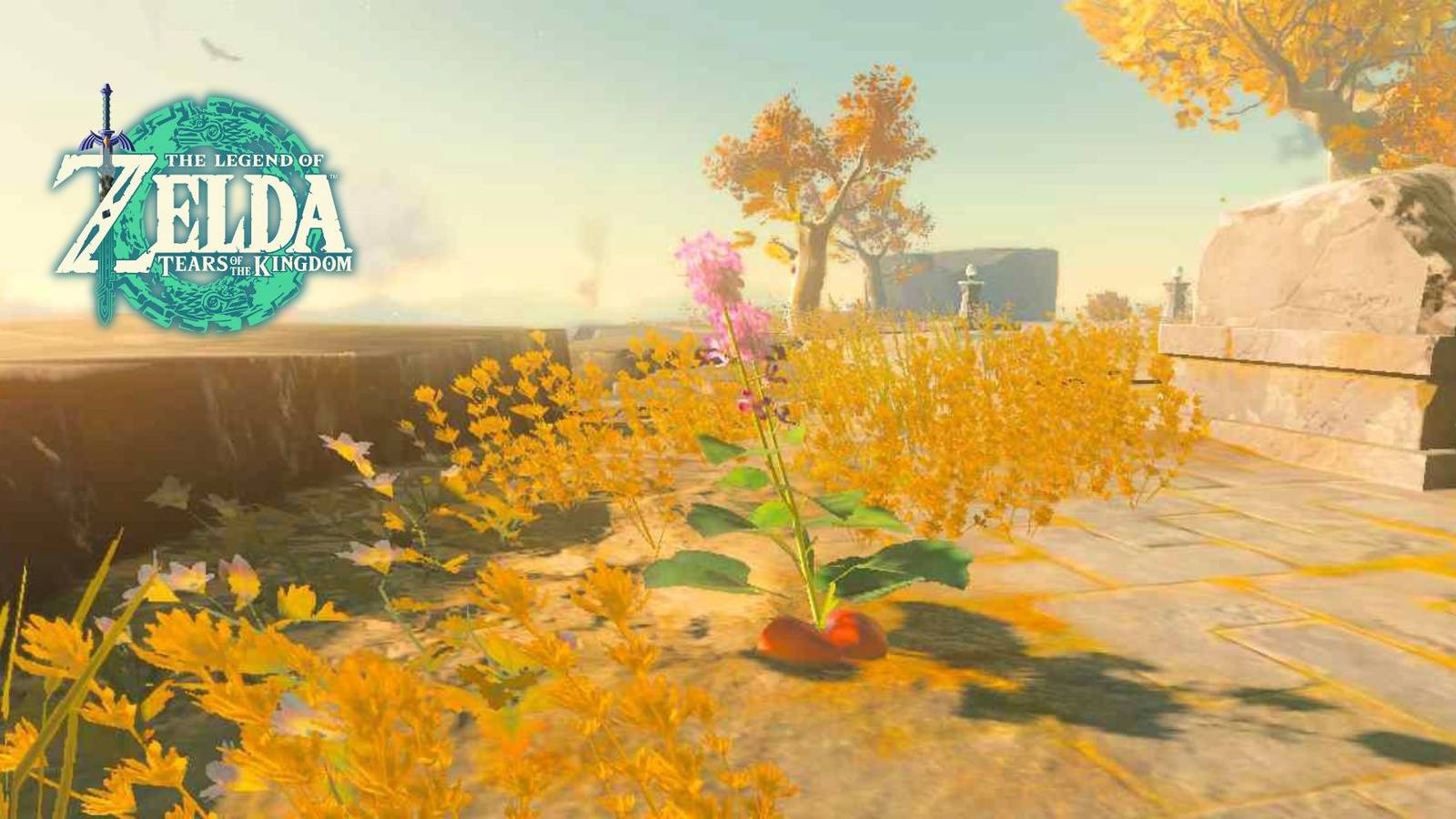 Zelda_ Tears of the Kingdom - Where To Find Hearty Radish feature image