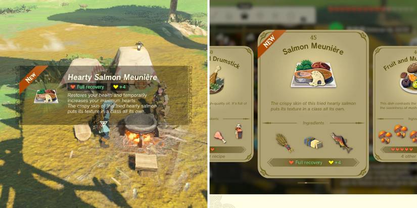 Zelda_ Tears of the Kingdom - Where To Find Hearty Salmon (4)