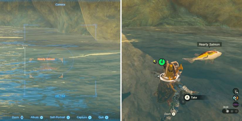 Zelda_ Tears of the Kingdom - Where To Find Hearty Salmon (6)