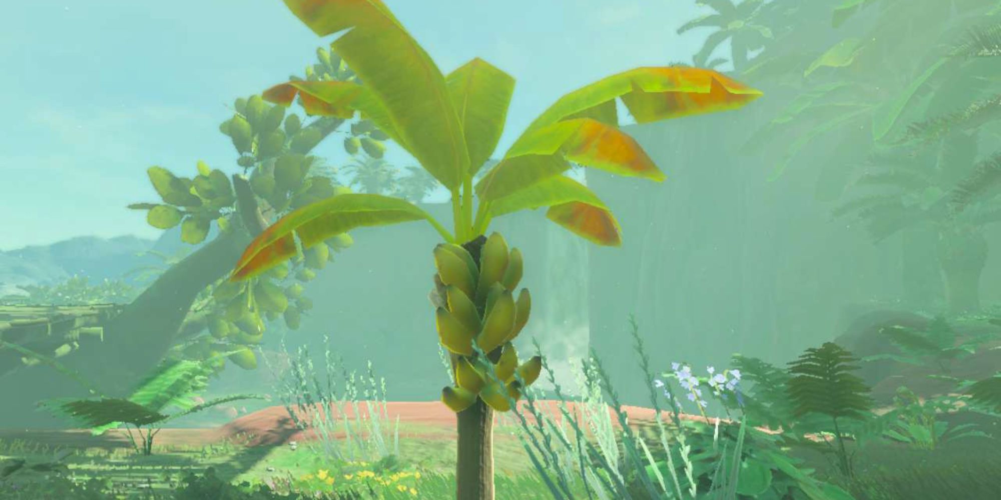 Zelda_ Tears of the Kingdom - Where To Find Mighty Bananas