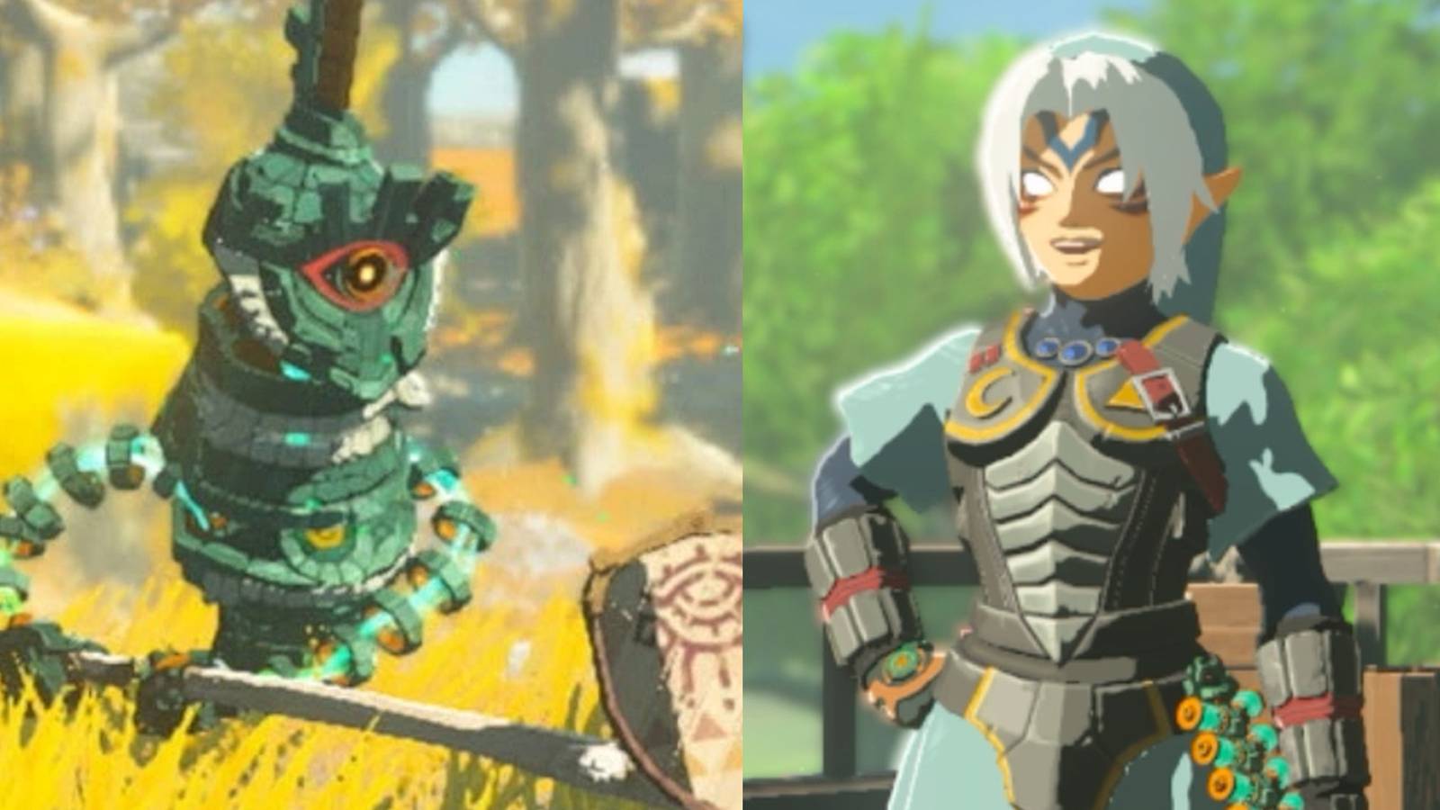 Soldier Construct in the wild; Link in the Fierce Deity armor set