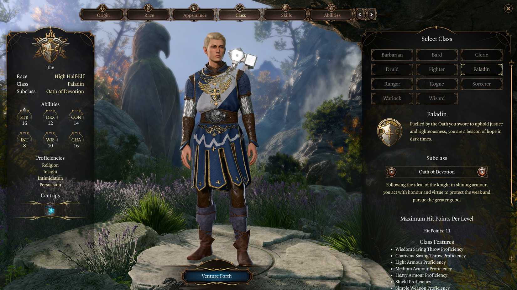 Baldur's Gate 3: Best Paladin Class Build