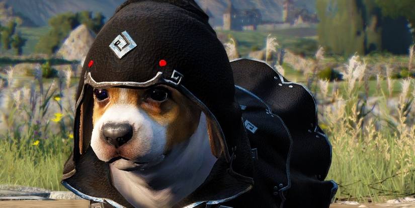 Pet Puppy In Black Desert
