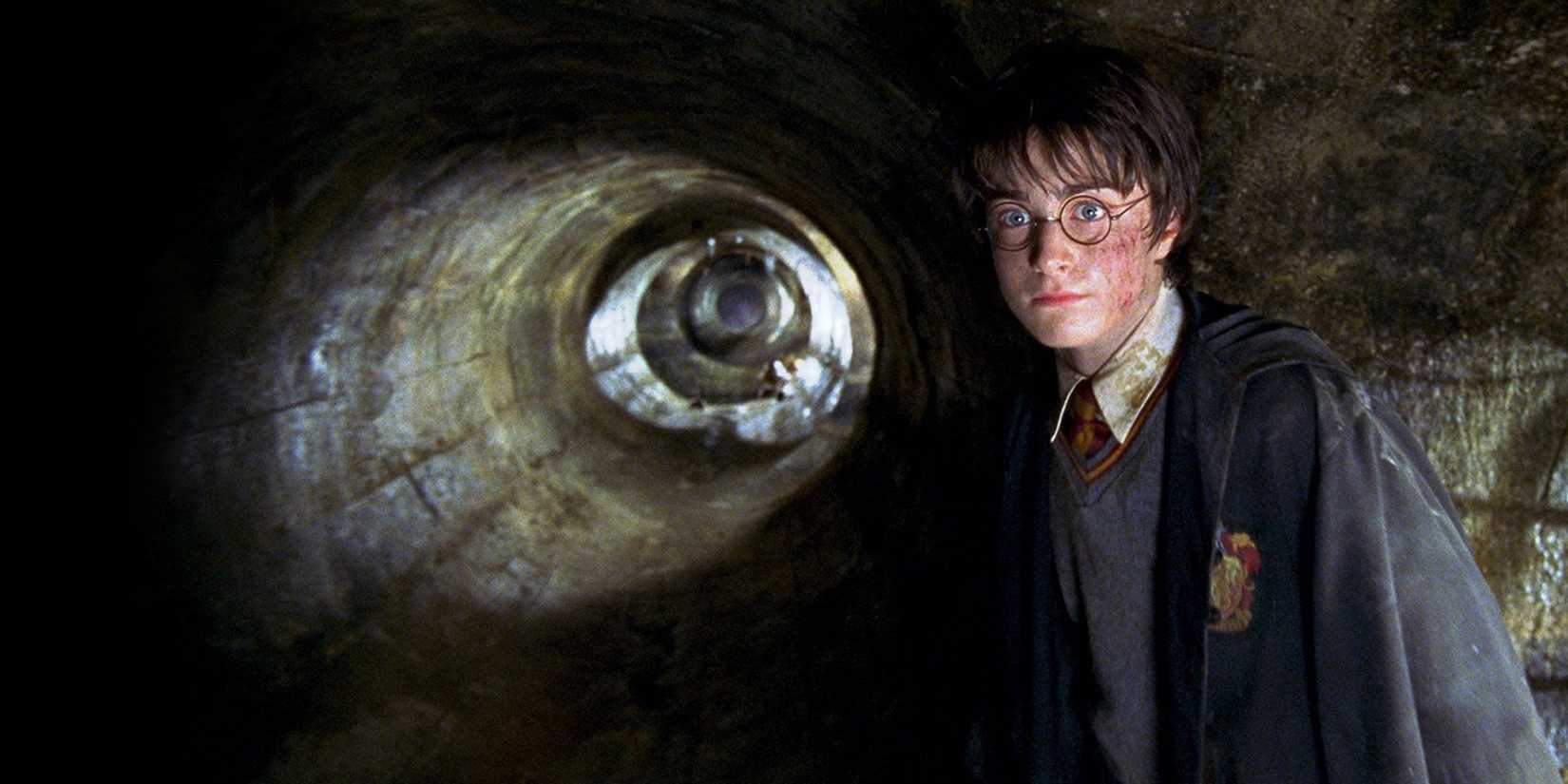 Harry Potter in The Chamber Of Secrets