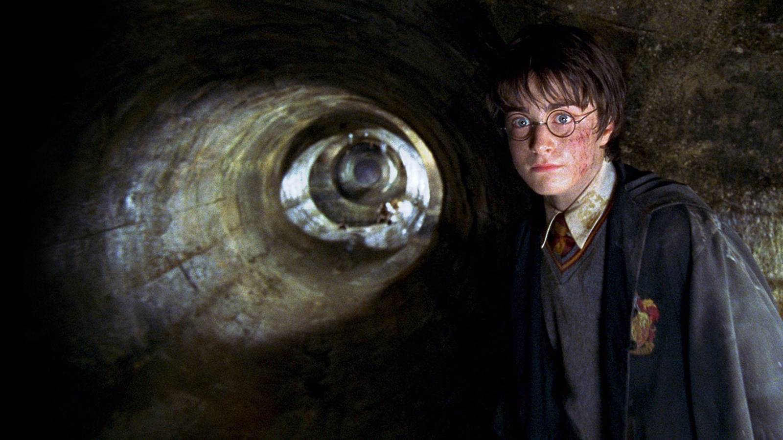 Harry Potter in The Chamber Of Secrets