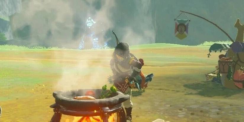 Link Cooking A Meal