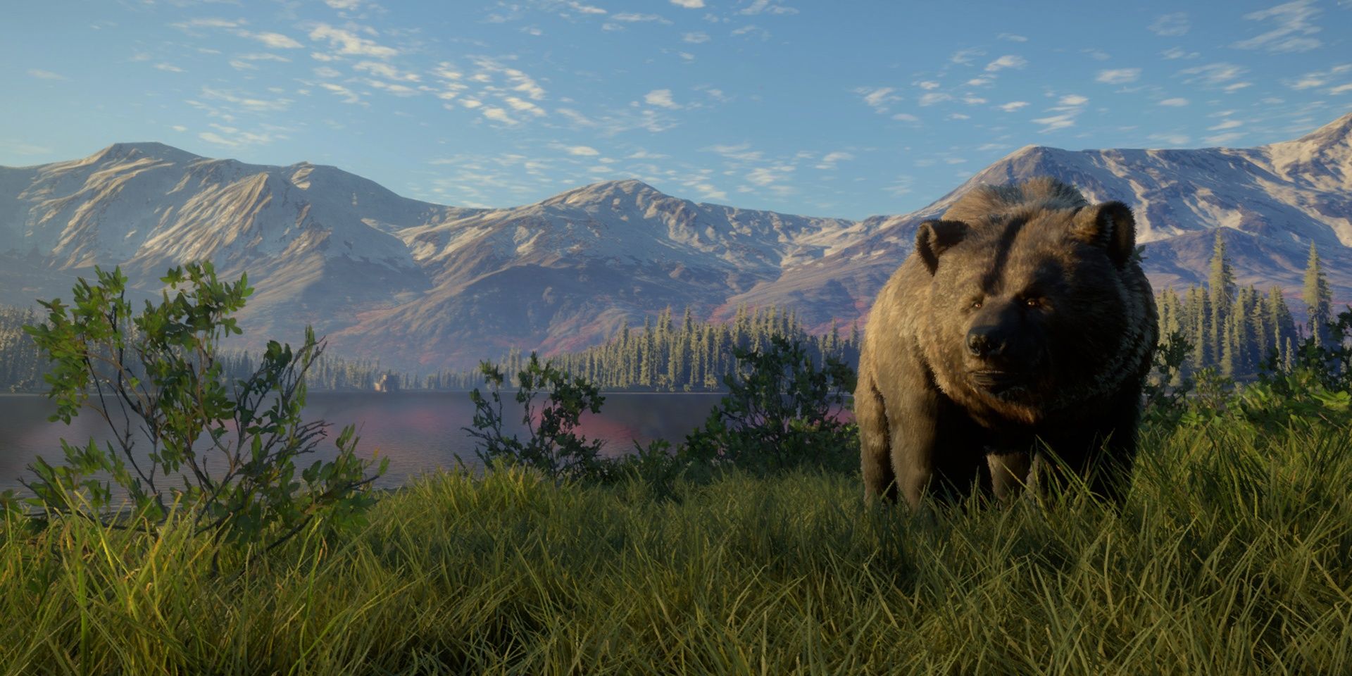 A bear in The Hunter: Call of the Wild