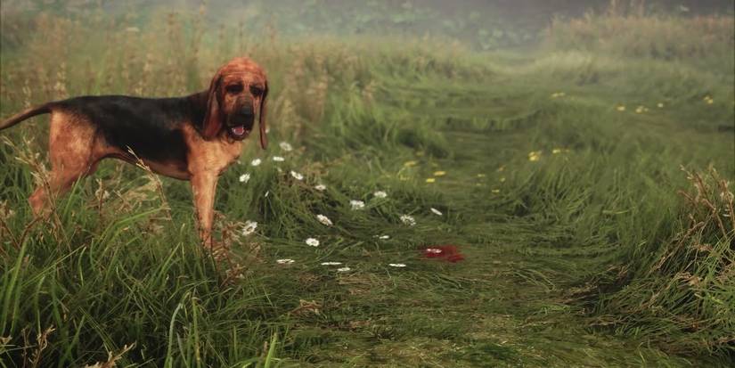 A blood clue in The Hunter: Call of the Wild