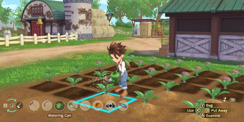 A field in A Story of Seasons