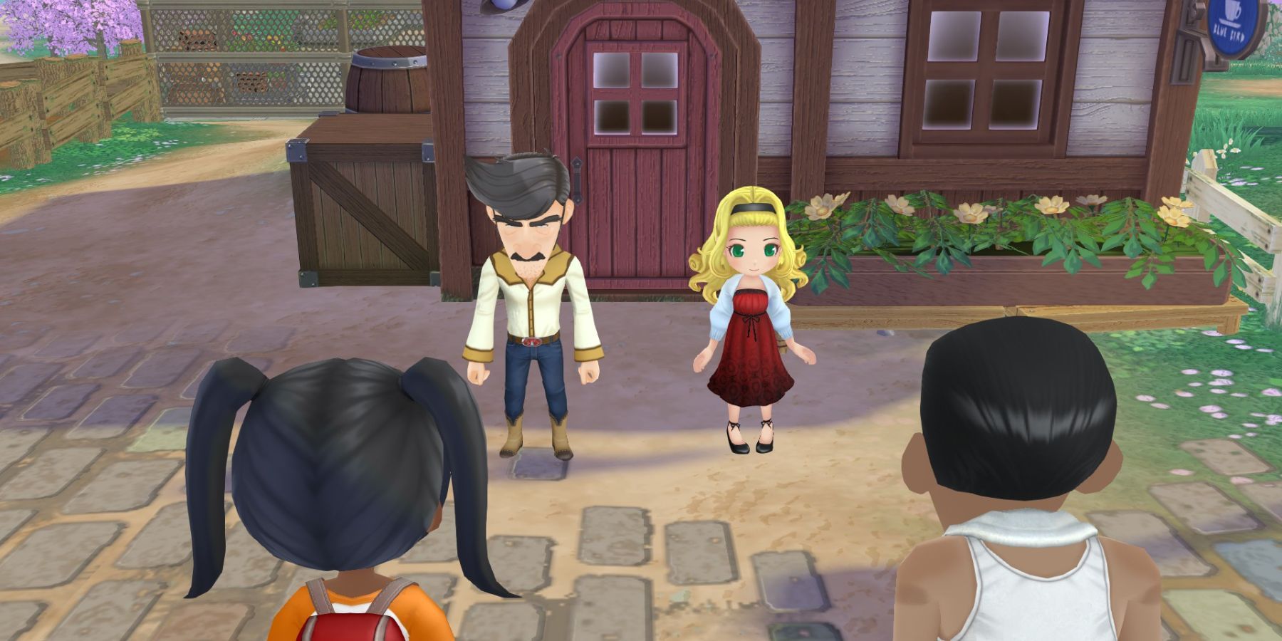 Story of Seasons: A Wonderful Life - Gift Giving Guide