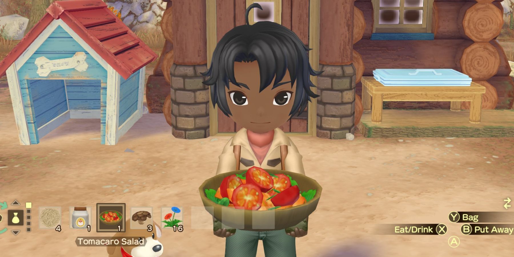 Story of Seasons A Wonderful Life All Recipes (& How to Get Them)