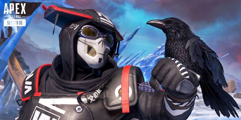 bloodhound with crow