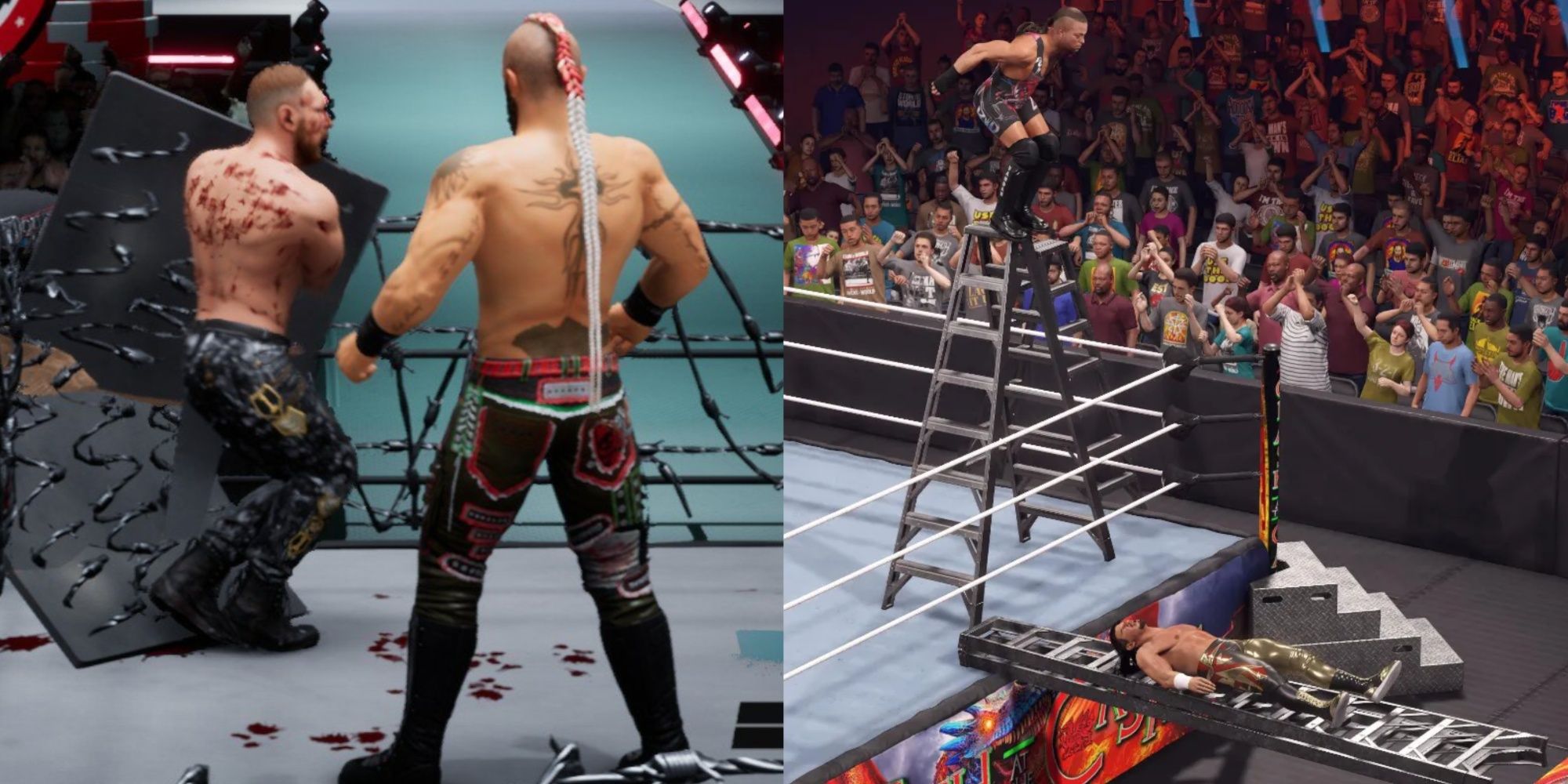 AEW FF Barbed Wire - WWE 2K23 Ladder Match