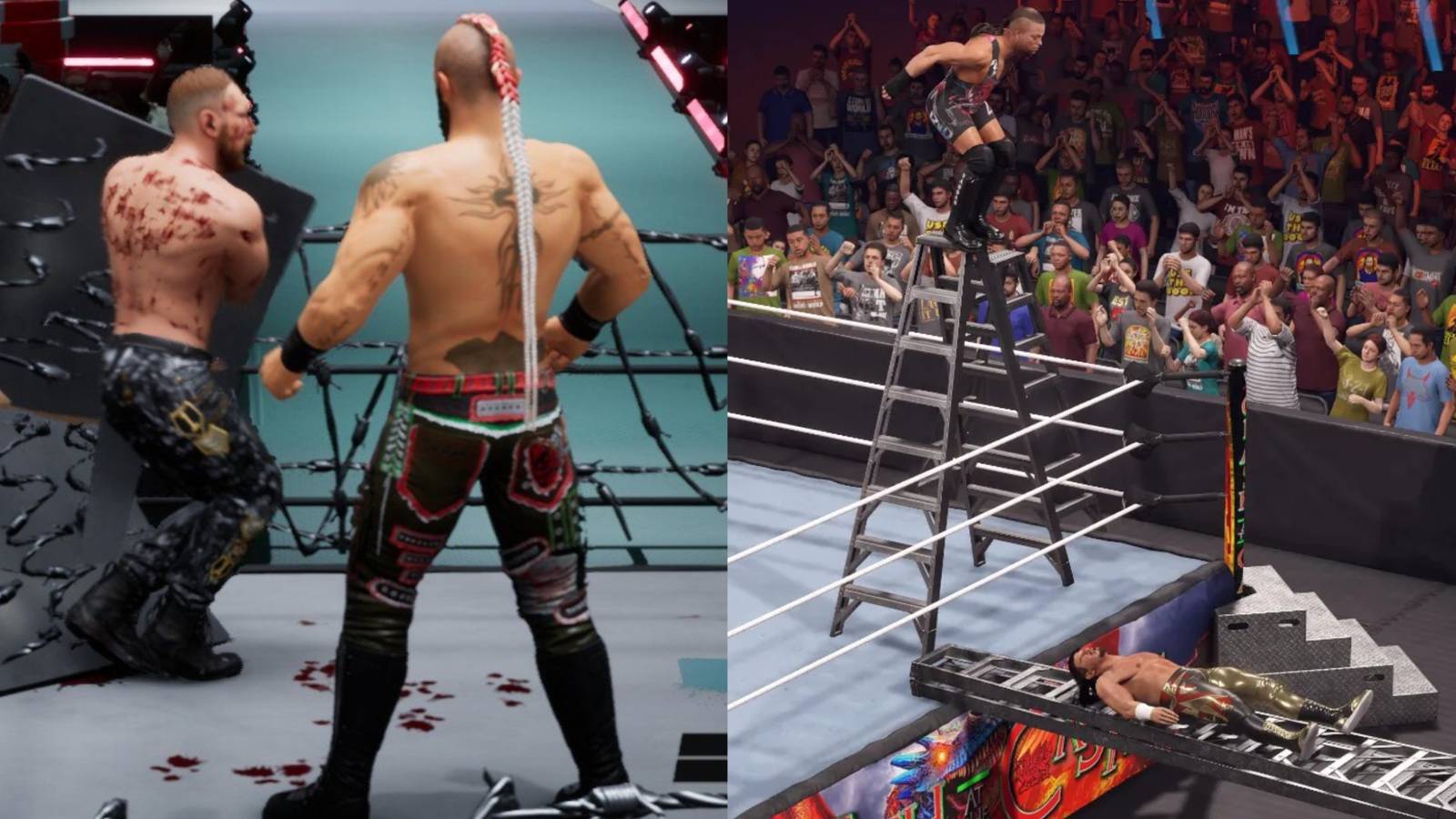 AEW FF Barbed Wire - WWE 2K23 Ladder Match