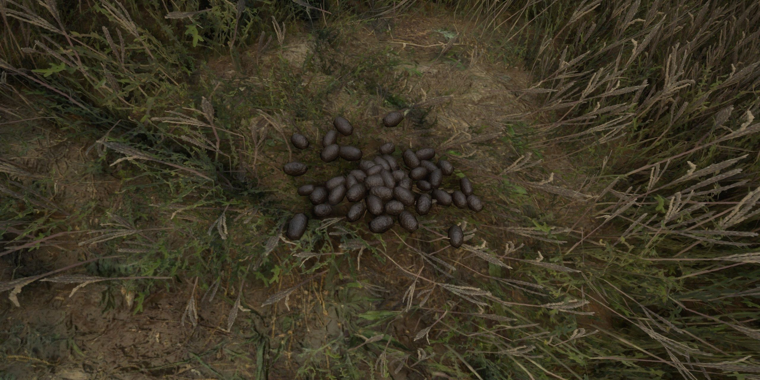 Animal droppings in The Hunter: Call of the Wild