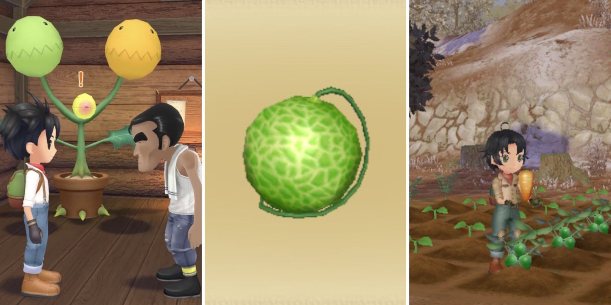 Best Crops In Story Of Seasons: A Wonderful Life, Ranked