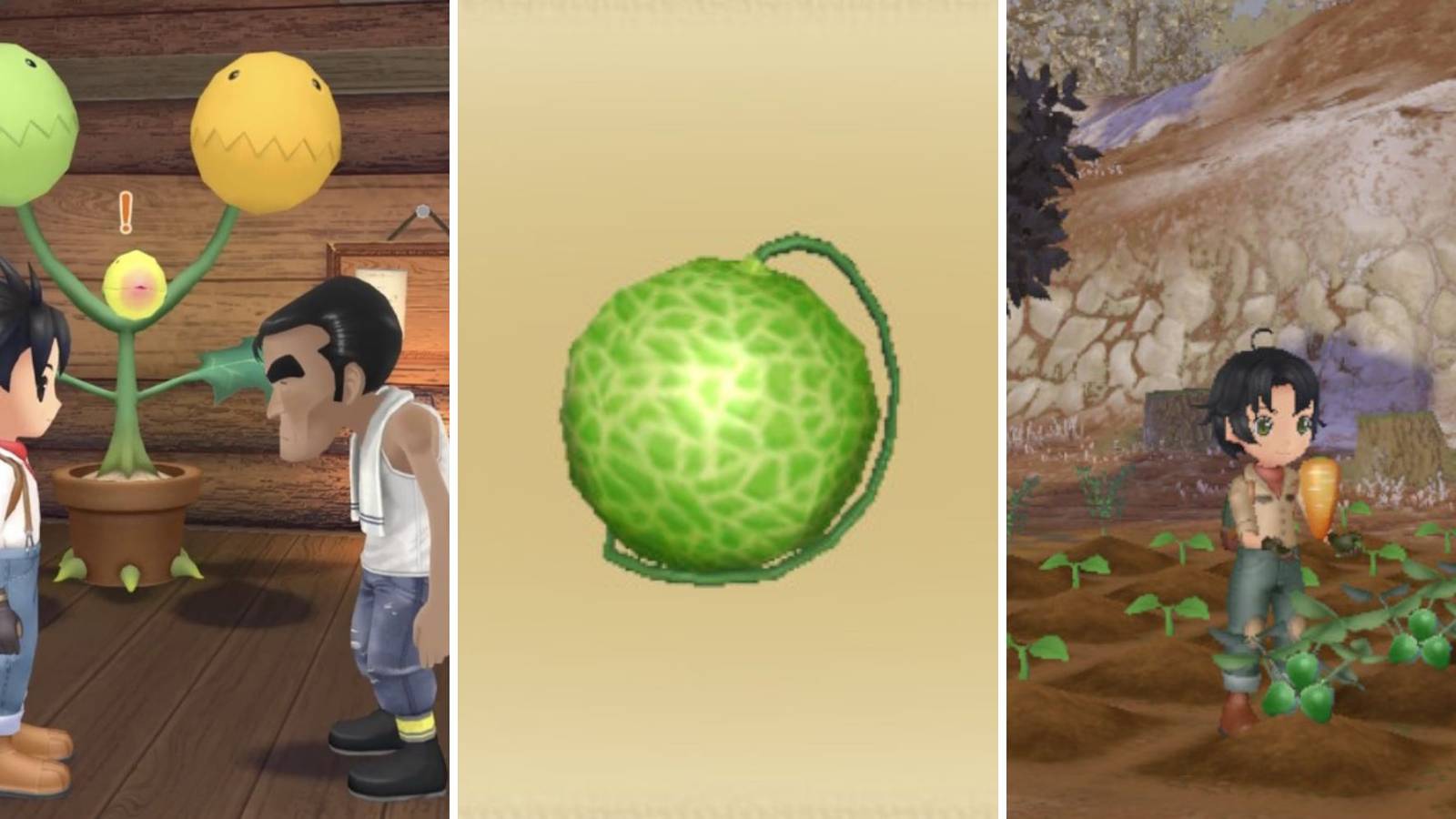 A grid showing images of crops and Vinnie In Story Of Seasons: A Wonderful Life