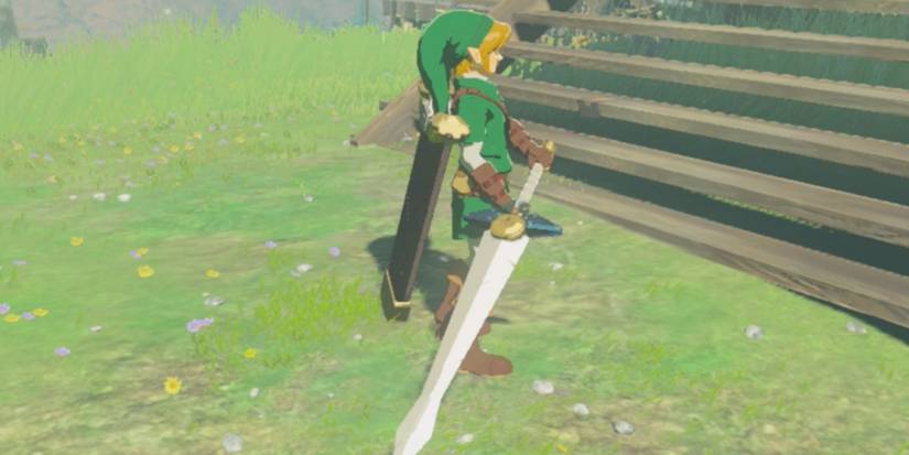 Link holding Biggoron's Sword