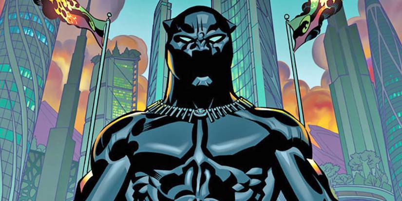 Black Panther Enemy Of The State