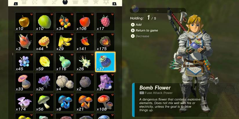 Link holding a Bomb Flower
