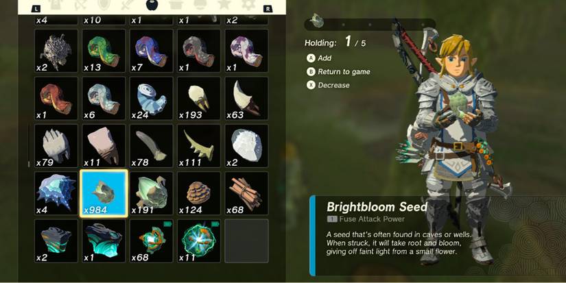 Link holding a Brightbloom Seed