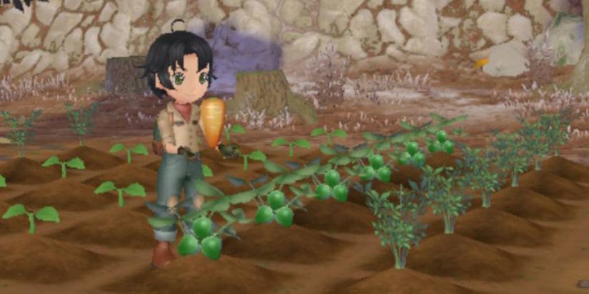 A player holding a carrot next to a growing strawberry in Story of Seasons: A Wonderful Life