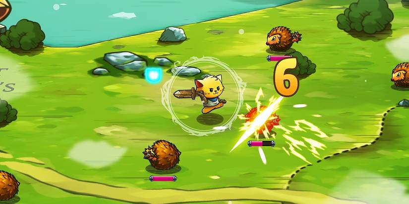 Cat Quest Character Fighting