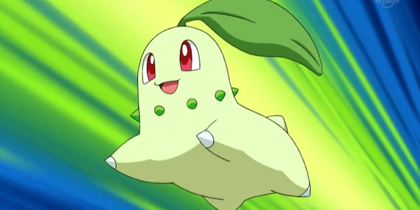 Chikorita