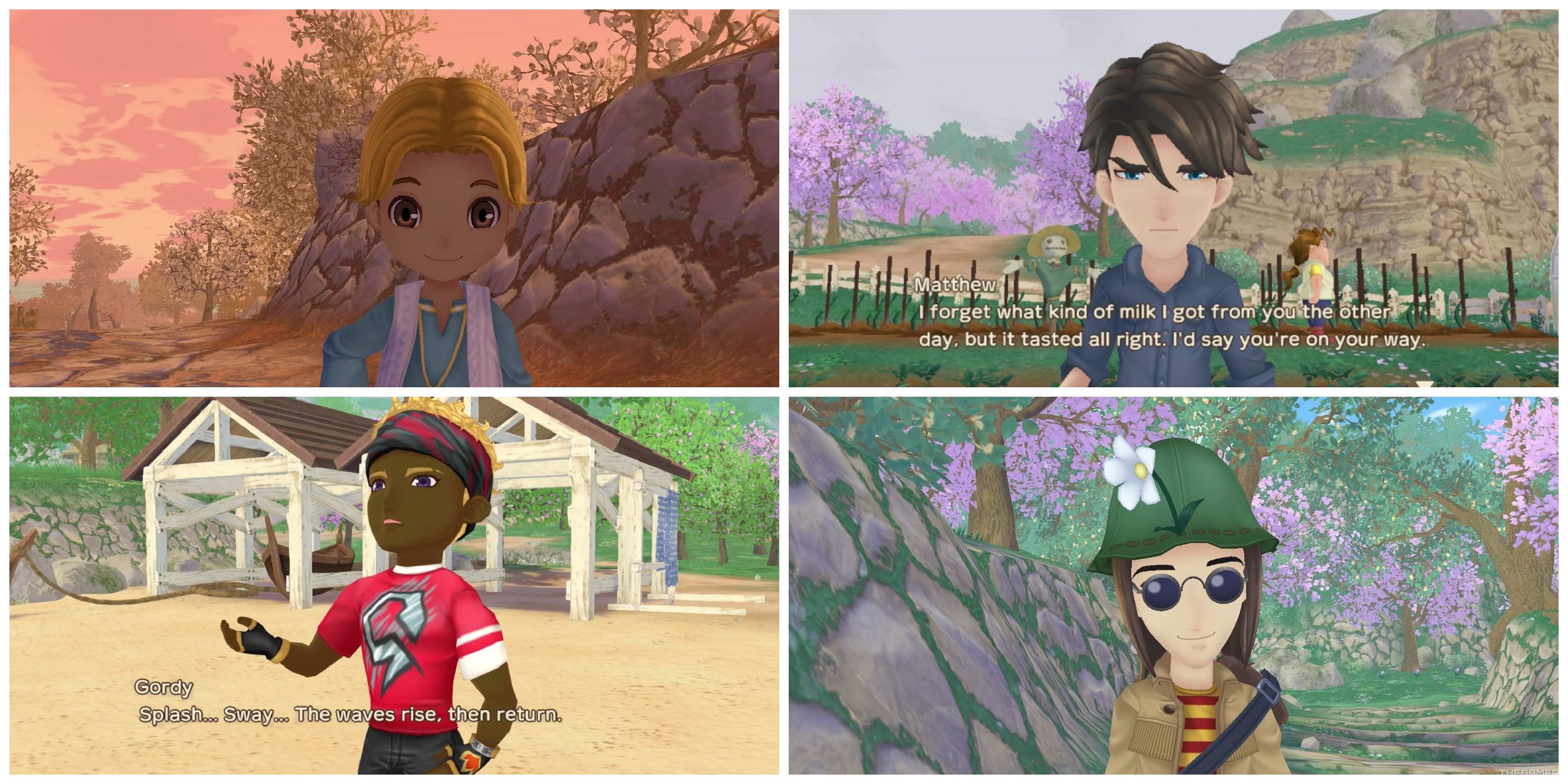 story of seasons bachelors