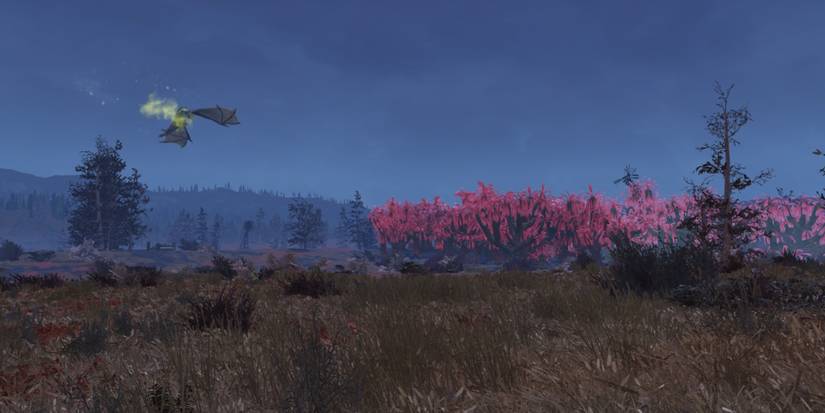 Cranberry Bog Location