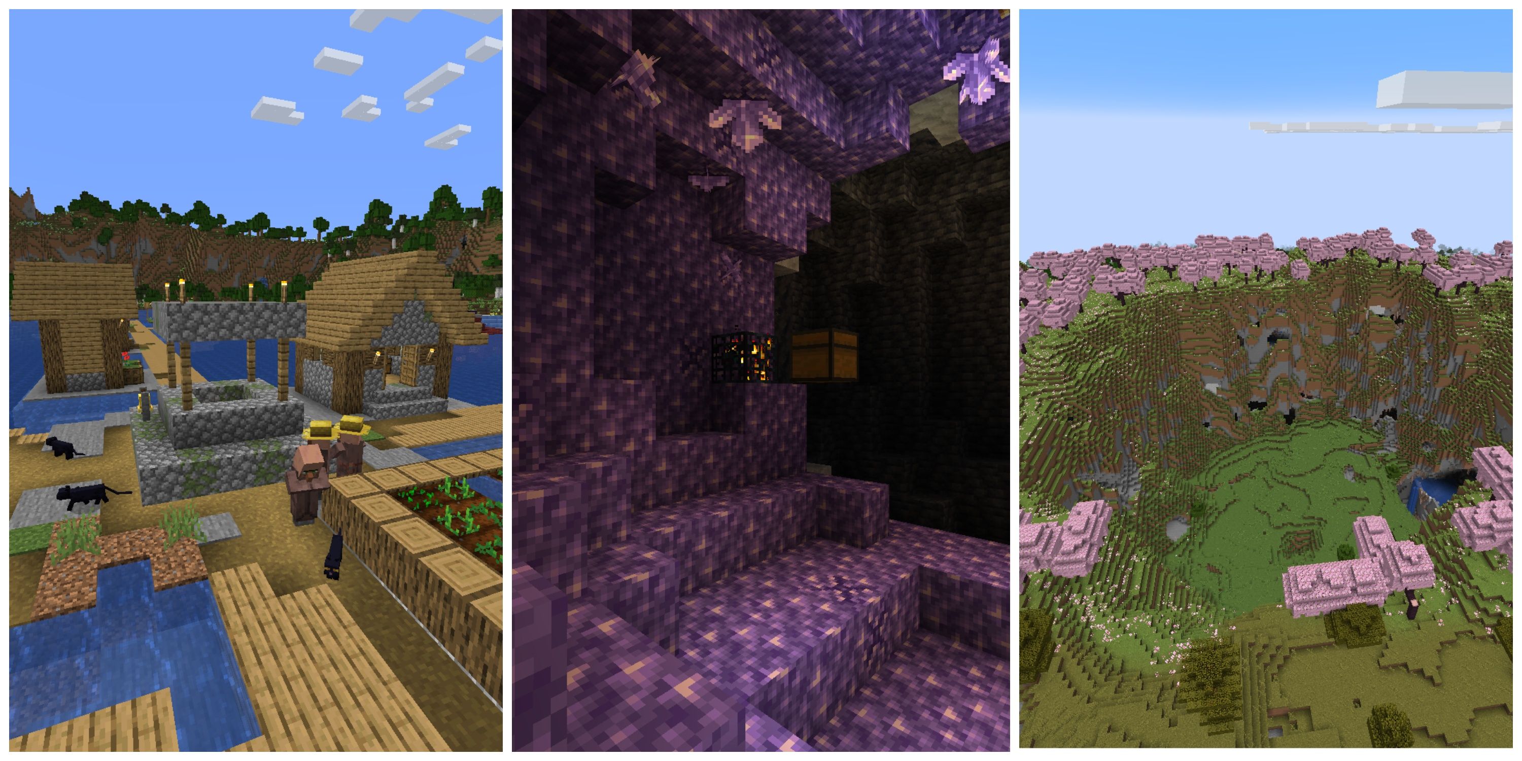 A split image of different Minecraft biomes