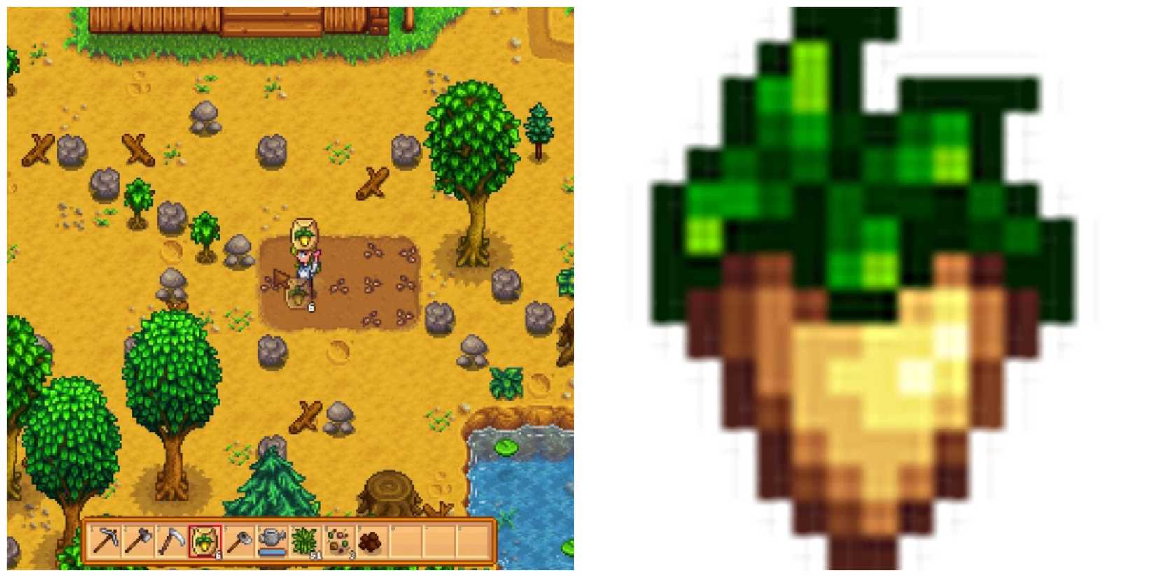 Picture showing Parsnips in Stardew Valley.