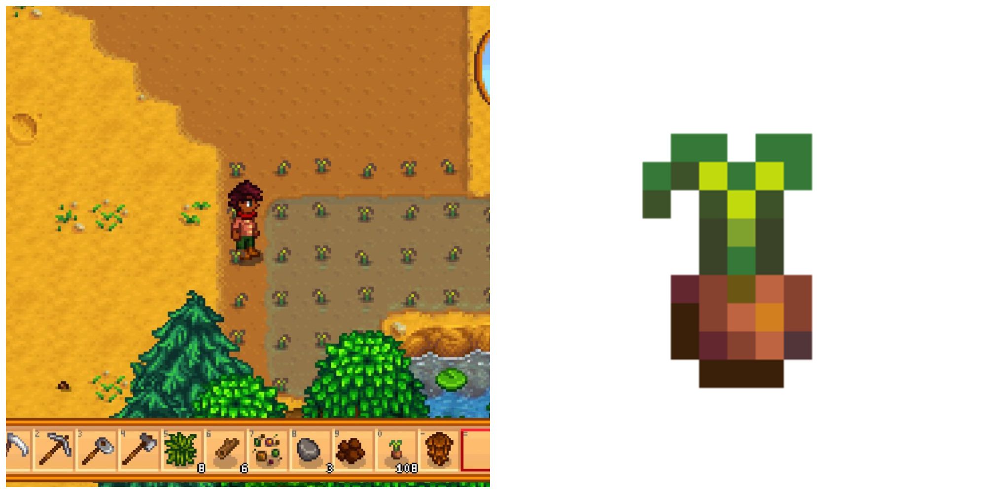 Picture showing Unmilled Rice in Stardew Valley.
