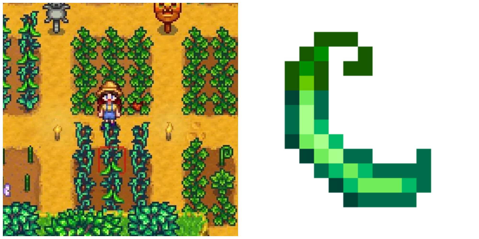 Best Crops To Make Money In Stardew Valley