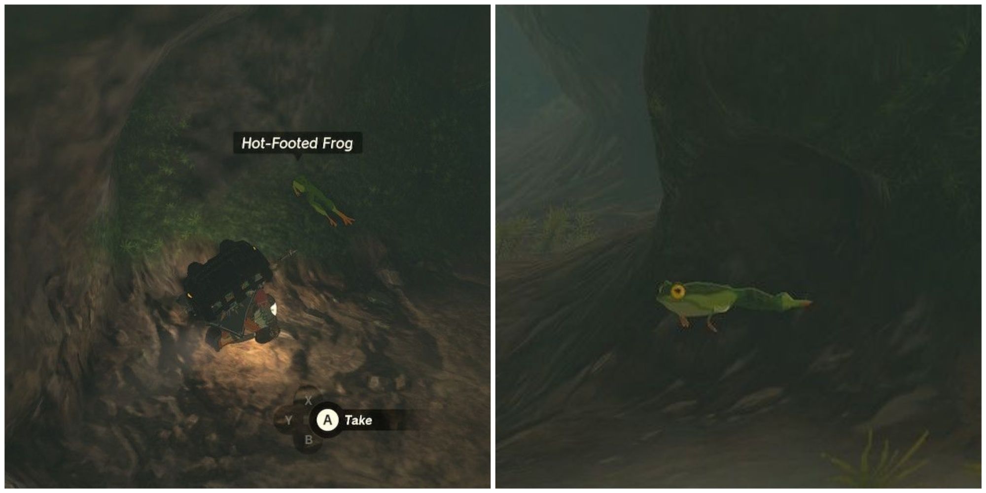 Zelda: Tears of the Kingdom: The Ultimate Hot-Footed Frog Farming Guide