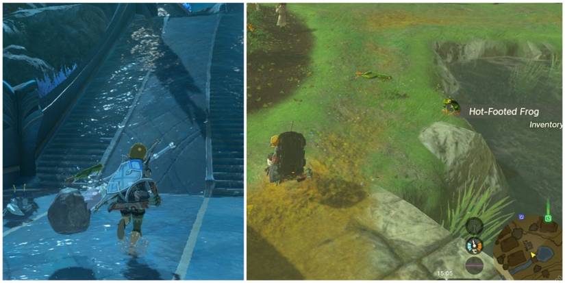 finding hot footed frogs on the map