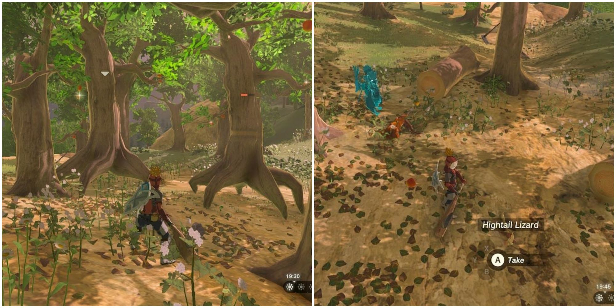 Zelda: Tears of the Kingdom - Best Locations to Farm Hightail Lizards