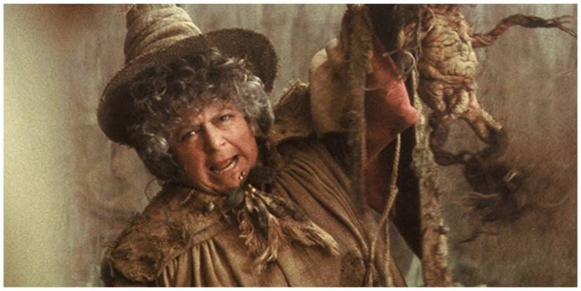 Miriam Margolyes as Pomona Sprout